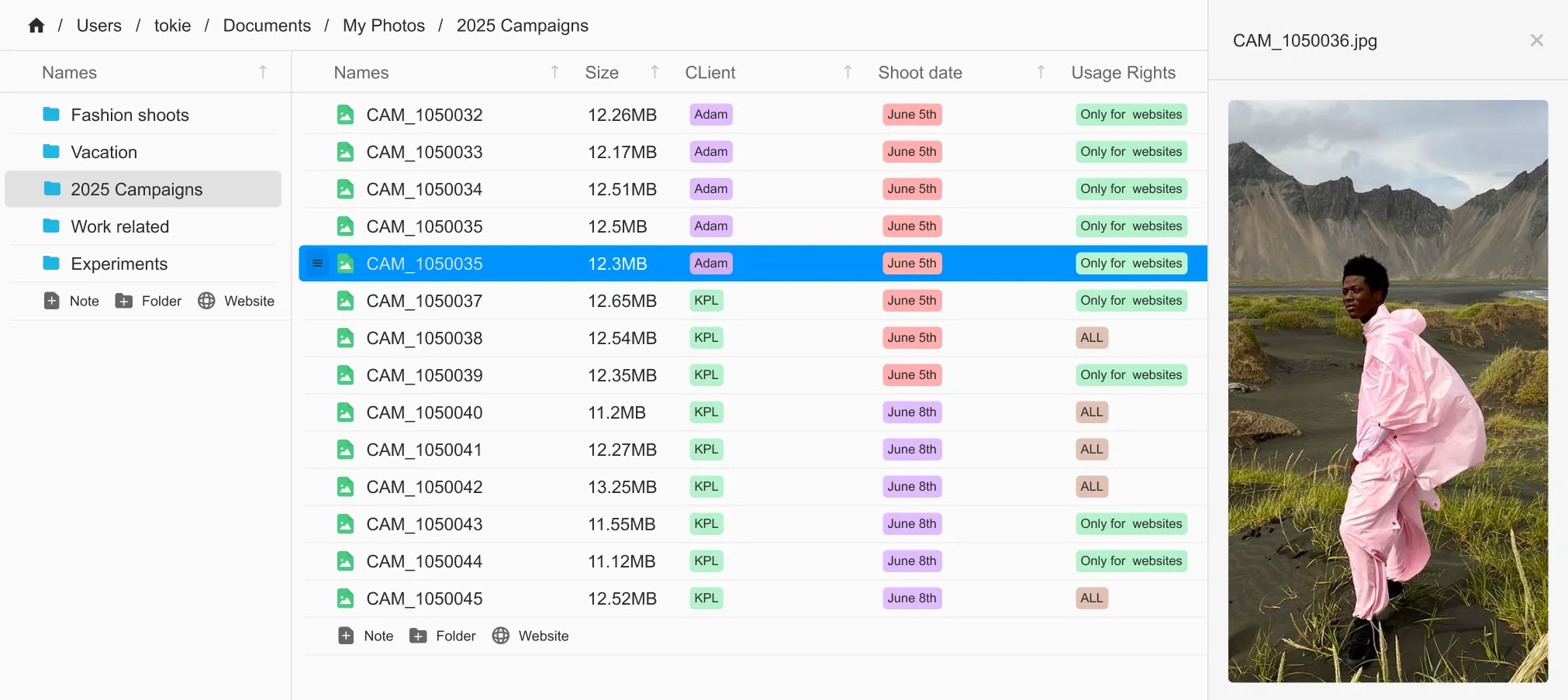 Tokie Custom Fields Database View